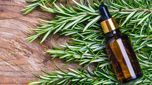 Hair Oil: Myths and Facts – Is Rosemary Oil a Real Hair Loss Solution?